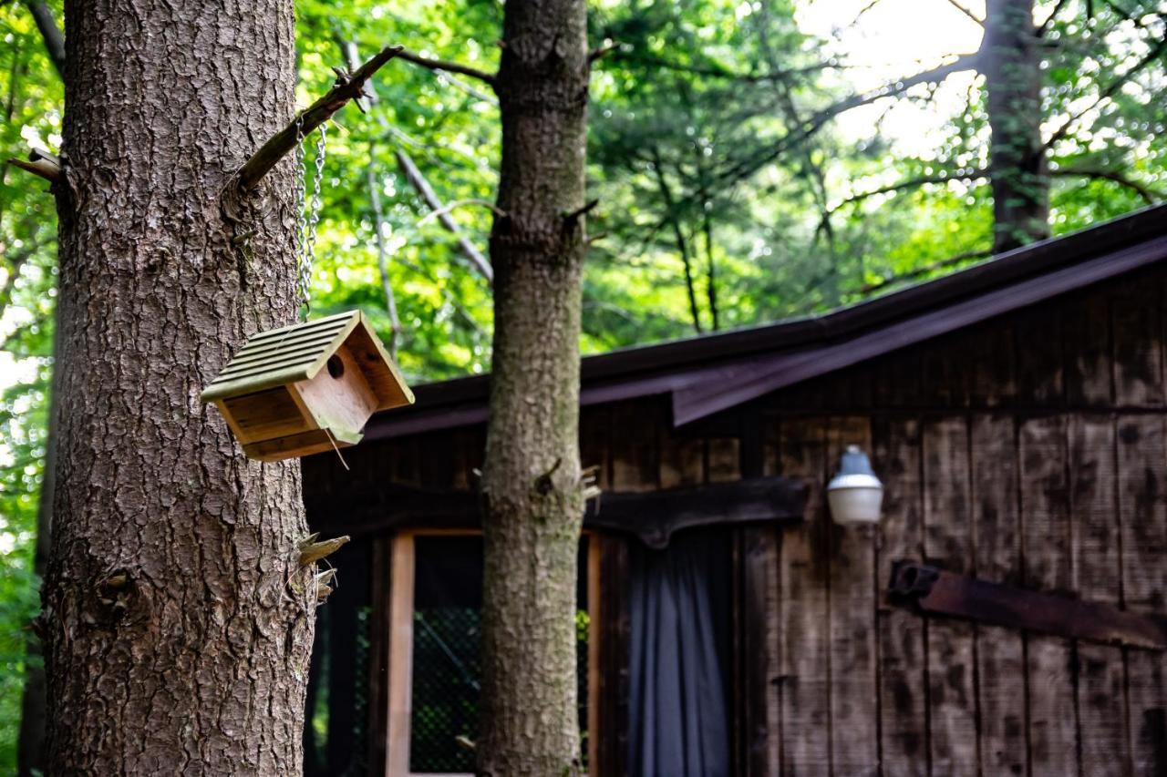 Avenwood Cabins Logan Dış mekan fotoğraf